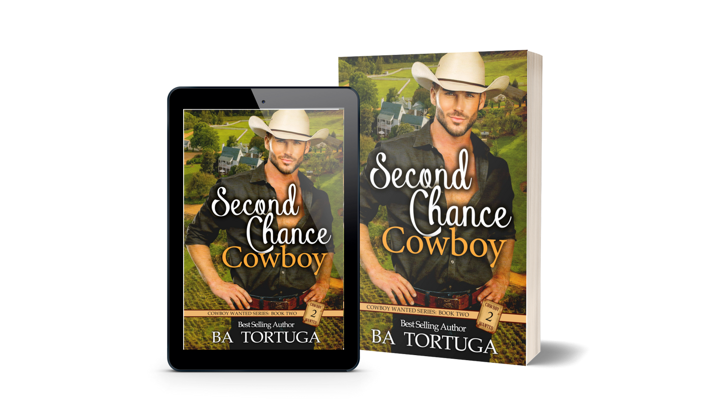 Second Chance Cowboy