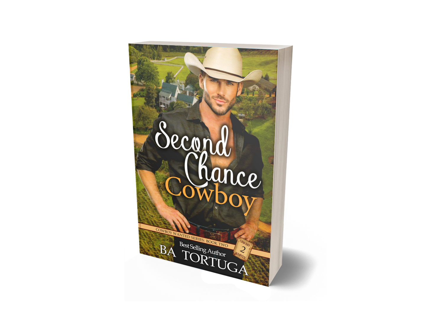 Second Chance Cowboy