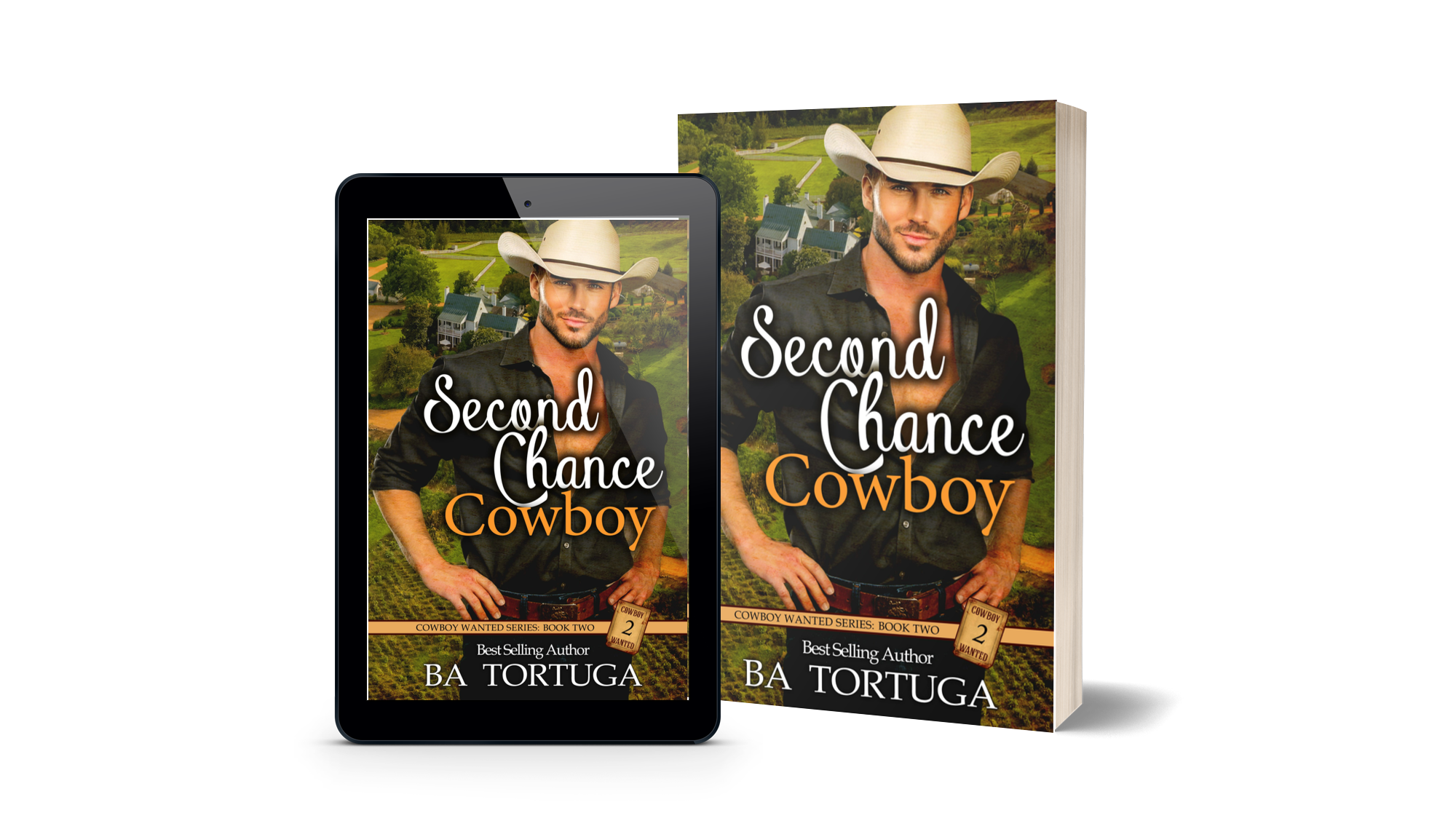 Second Chance Cowboy